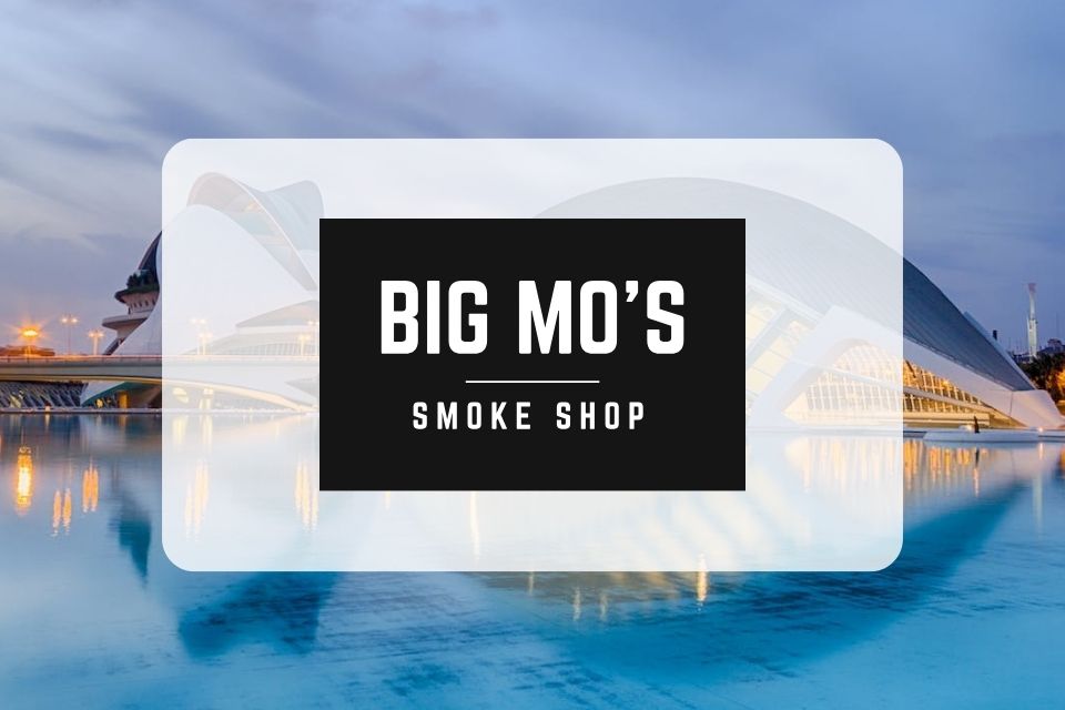 Disposable Vapes Online: Big Mo Launches Virtual One-Stop Shop Offering Wide Choice and Convenience