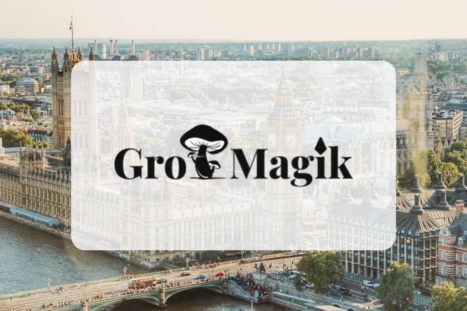 Gro Magik Unveils High-Quality Mushroom-Growing Kits Across the US, Offering Easy Access to Enthusiasts Gro Magik Unveils High-Quality Mushroom-Growing Kits Across the US, Offering Easy Access to Enthusiasts