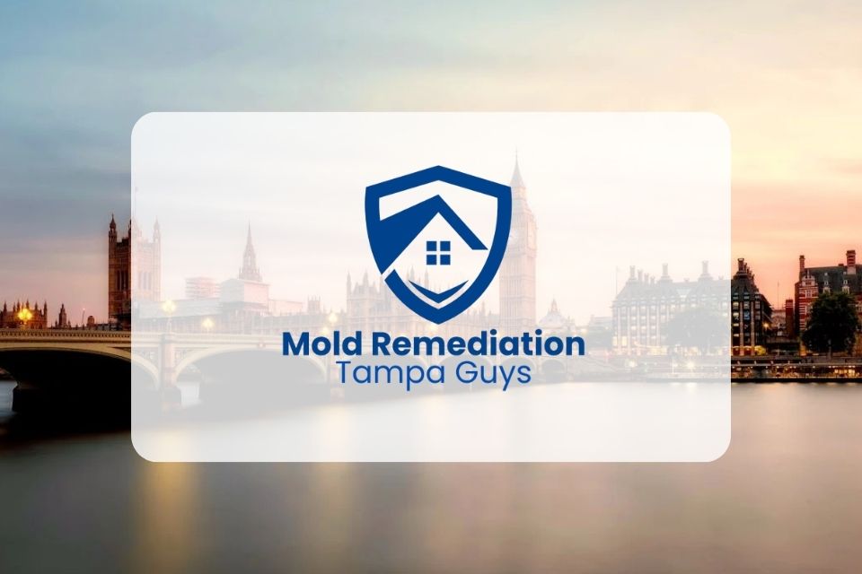 Mold Remediation Tampa Guys Leads the Way in Effective, Affordable Mold Removal Mold Remediation Tampa Guys Leads the Way in Effective, Affordable Mold Removal