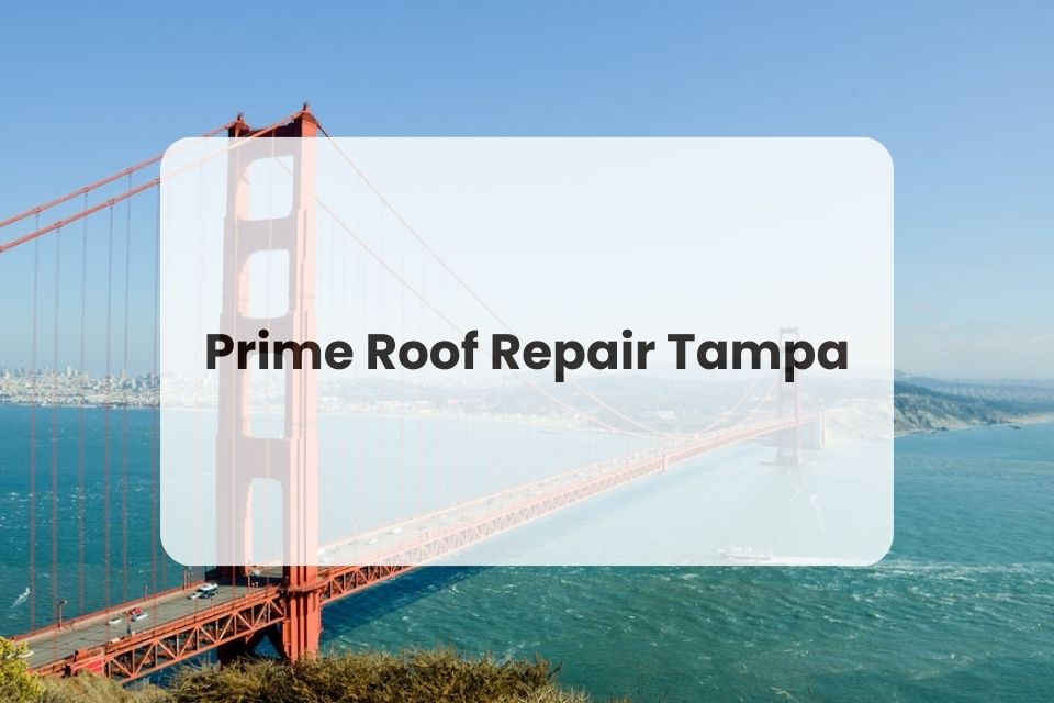 Roof Repair Tampa: Prime Roof Repair Tampa Delivers Exceptional Roofing Solutions with a Customer-First Approach Roof Repair Tampa: Prime Roof Repair Tampa Delivers Exceptional Roofing Solutions with a Customer-First Approach