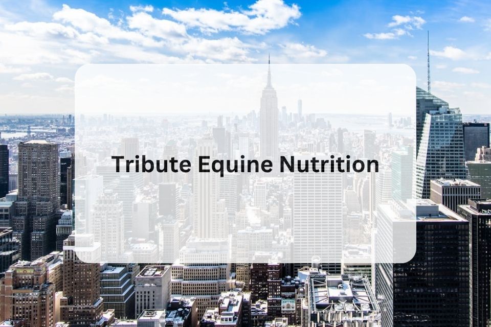 TRIBUTE INTRODUCES ‘LUMPS OF COAL’ HORSE TREATS  FOR THE HOLIDAY SEASON